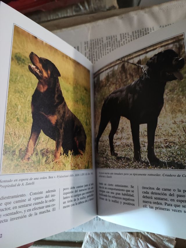 Libro , El Rottweiler ÚLTIMO PRECIO