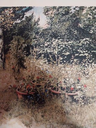 LITOGRAFIA BANCHIERI "92"