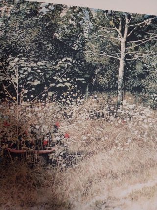 LITOGRAFIA BANCHIERI "92"