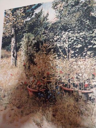 LITOGRAFIA BANCHIERI "92"