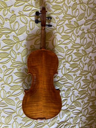 Violin Luthier