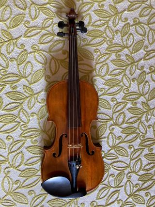 Violin Luthier