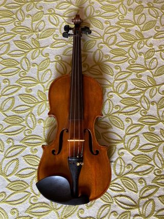 Violin Luthier