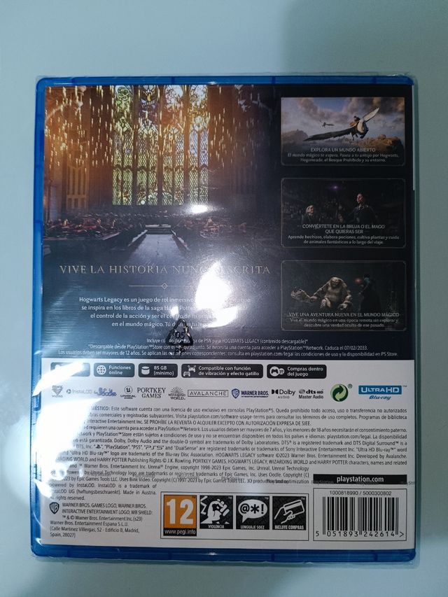 Hogwarts Legacy Ps5 
