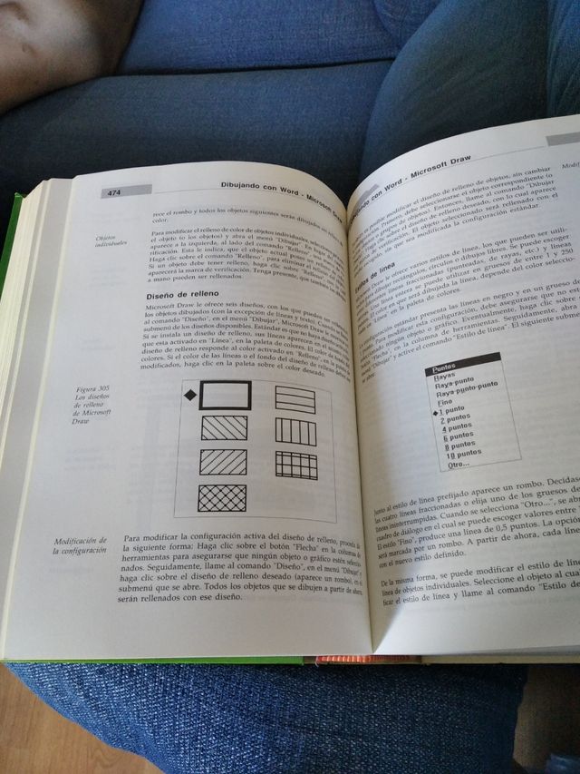 Gran libro del WORD para Windows