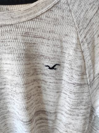 jesey Hollister S