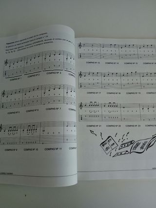 Guitarra acustica y electrica