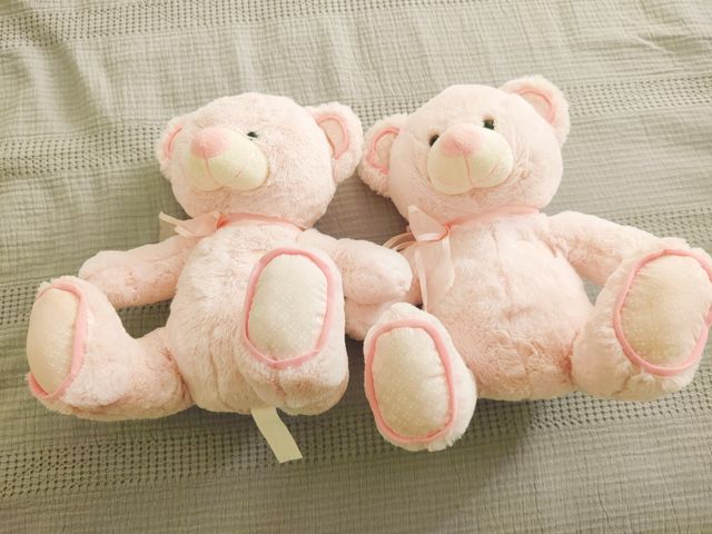 Osito de peluche 🧸