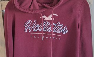 Sudadera con capucha Hollister