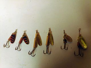 Cucharillas pesca
