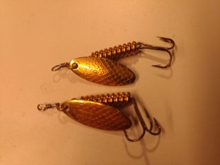 Cucharillas pesca
