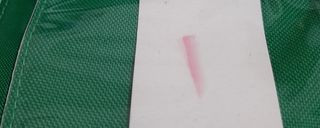 Nostalgia Cartera Billetera Rana Wallet green frog