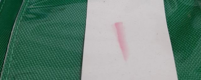 Nostalgia Cartera Billetera Rana Wallet green frog