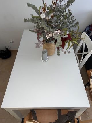 Mesa ikea BJURSTA