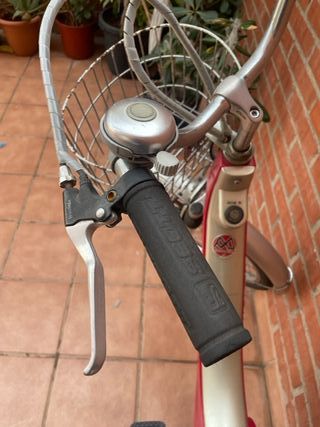 BICICLETA ELECTRICA MONTY