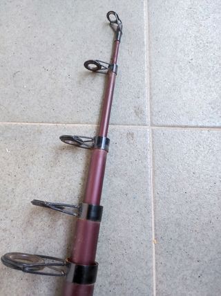 caña para la pesca de mar o  del siluro de 3,60 mt