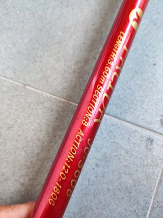 caña para la pesca de mar o siluro de 3,60 mt