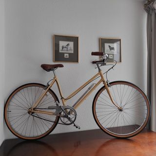 Bicicleta de adulto vintage.