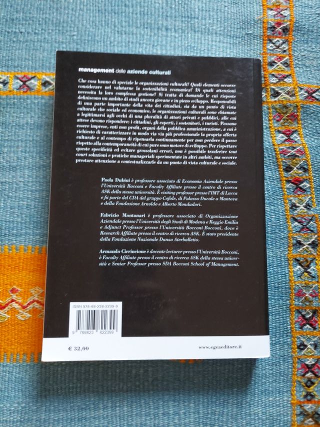 Management delle aziende culturali 