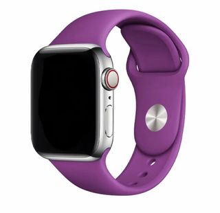 Correa Apple Watch