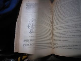 EL QUIJOTE PARA NIÑOS