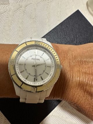 Reloj fóssil