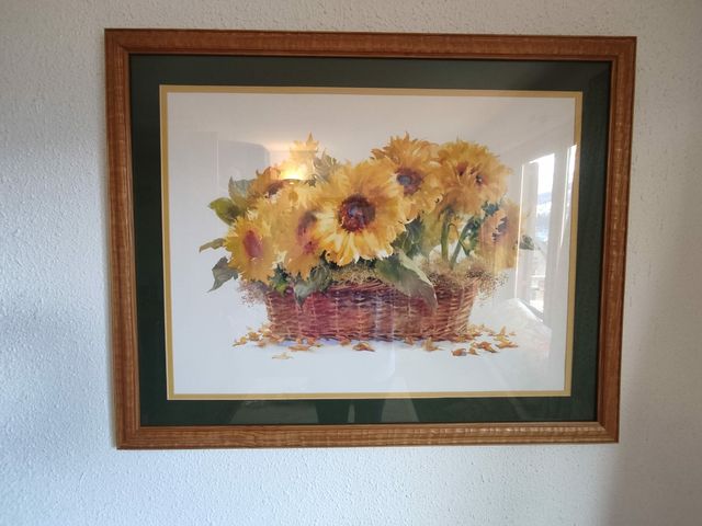 Láminas enmarcadas de bodegones de flores