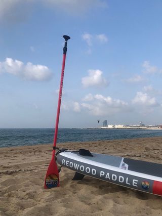 Paddle Surf Redwood 10’7