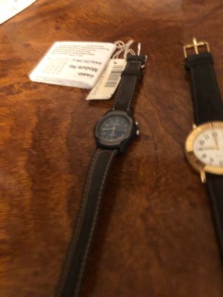 CASIO