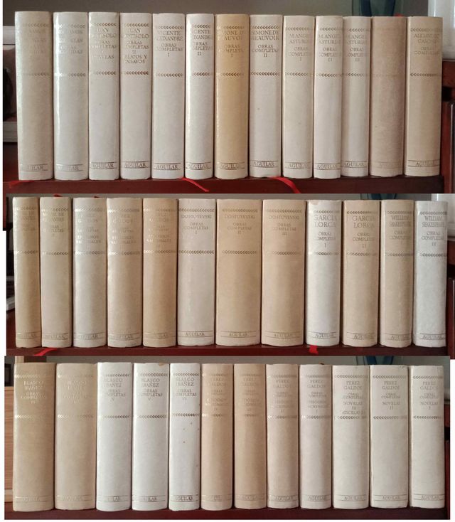 ÁNGELES DE IRISARRI - 2 LIBROS