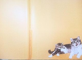 Animales del mundo Susaeta ediciones