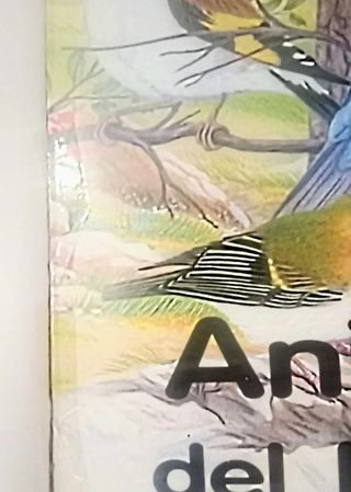 Animales del mundo Susaeta ediciones