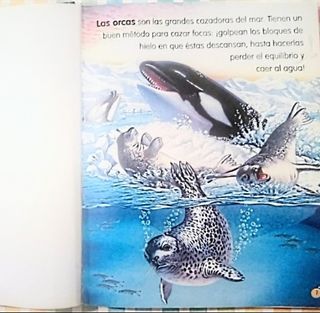 Animales del mundo Susaeta ediciones