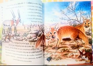 Animales del mundo Susaeta ediciones