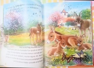 Animales del mundo Susaeta ediciones