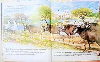 Animales del mundo Susaeta ediciones