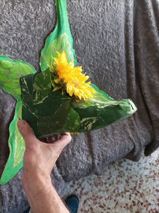 DisfraZ Ada fantasia. CoSido a Mano.