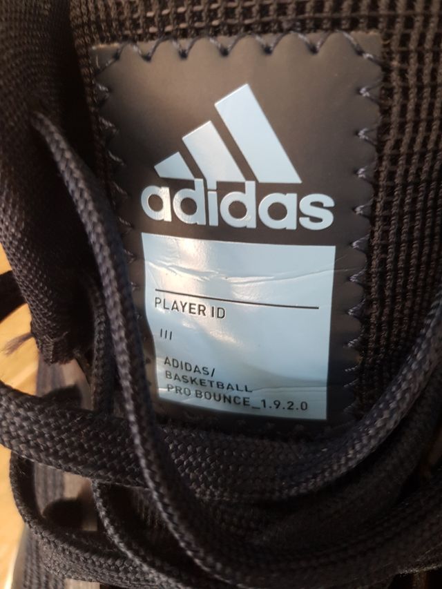 Zapatillas  basket baloncesto