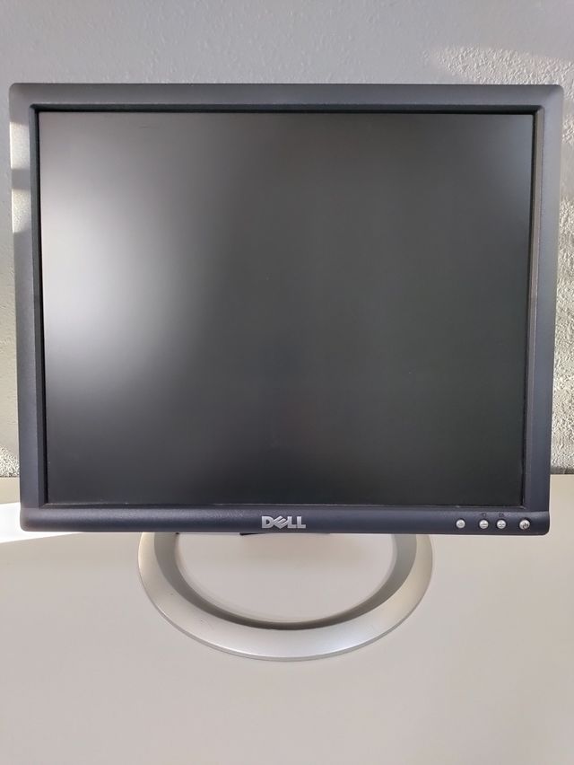 Monitor pantalla Dell 1704 FPT