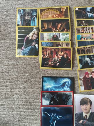 Panini Harry Potter