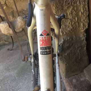 DIAMOND BACK mountain bike AVENIR equiped Talla M