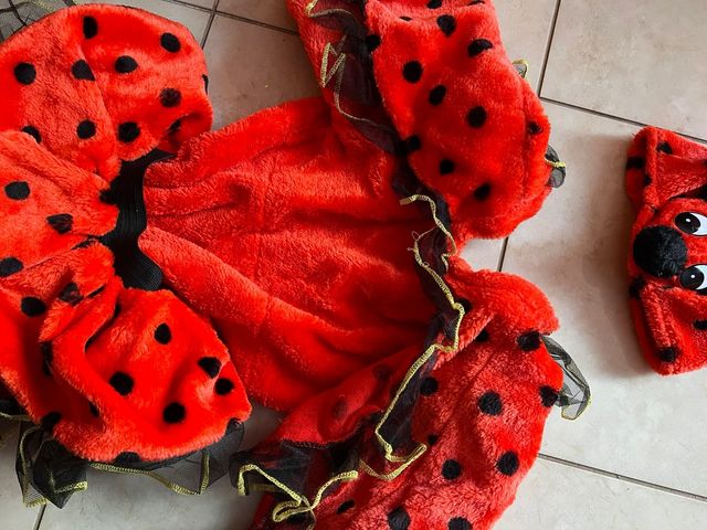 costume di carnevale 