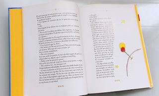 El Petit Príncep - Saint-Exupéry - Catalán