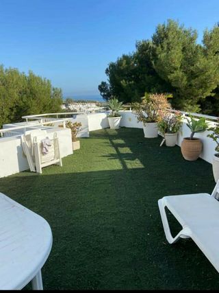 césped PROMOCIONES!!