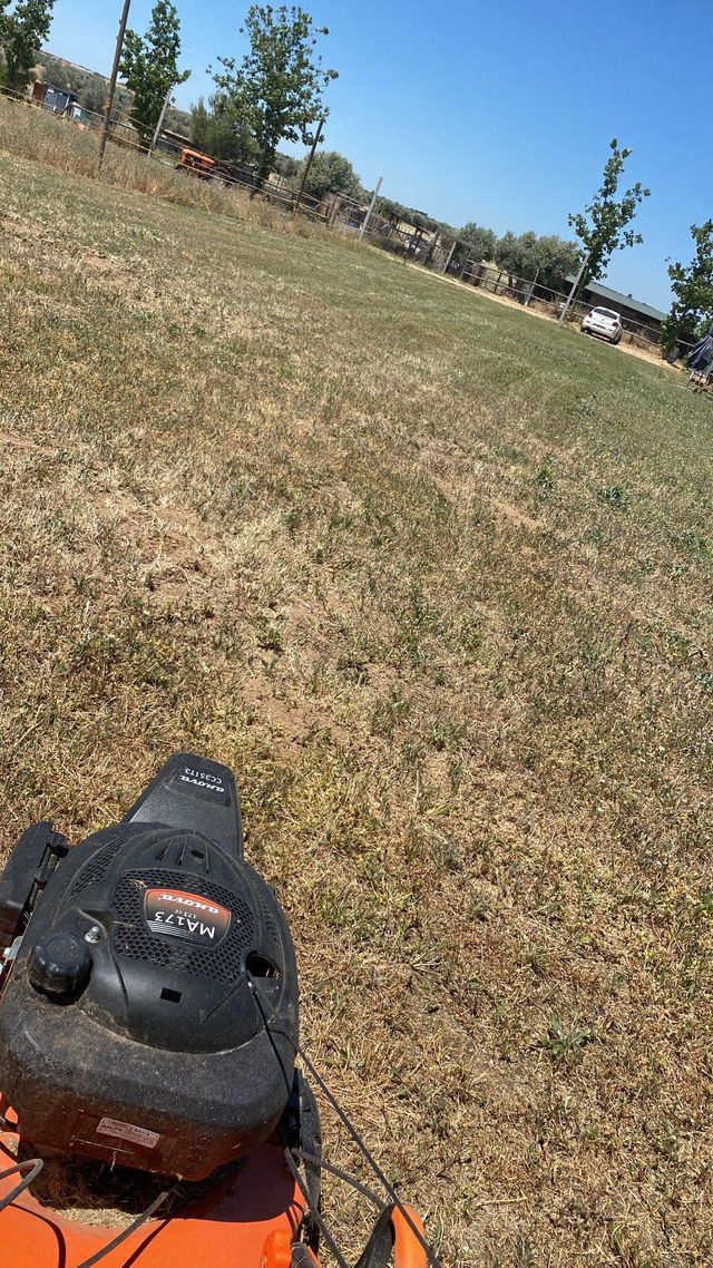 ¡Mantenimiento dé jardines!