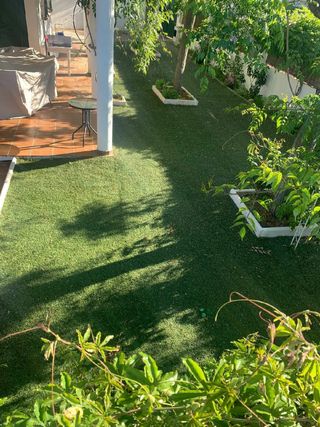 Césped ♻️ gran calidad