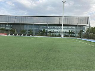 ♻️‼️CÉSPED SIN LINEAS