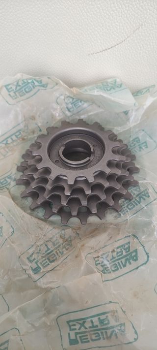 Piñón Regina 14-22 Nuevo Rosca Francesa