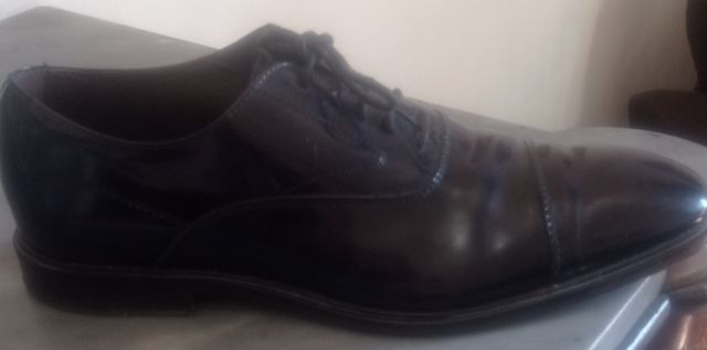 Scarpe con lacci  uomo tod's