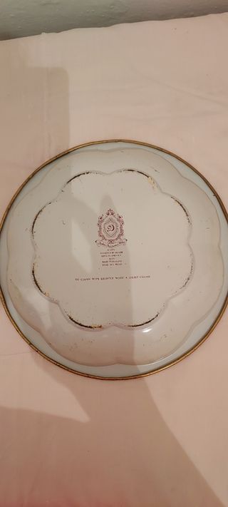 Plato metálico Daher